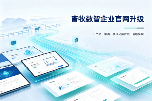 B2B 科技企业营销型网站落地案例｜科湃腾：让技术实力实现线上高效传递